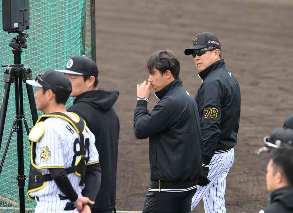 　ケース打撃をケージ裏から見る平田２軍監督（右端）＝撮影・西田忠信