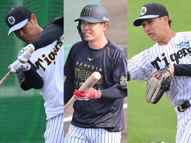 ロイヤルスイート限定　阪神タイガース　藤川監督22 ユニフォーム ロイヤルスイート限定］阪神タイガース 藤川監督22 ユニフォーム