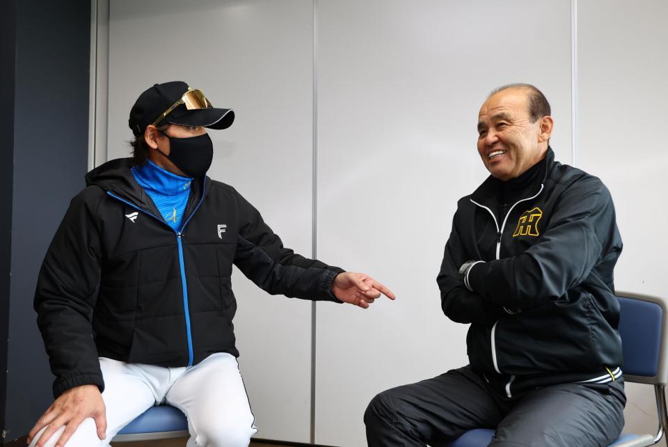 　日本ハム・新庄監督（左）対談する阪神・岡田オーナー付顧問