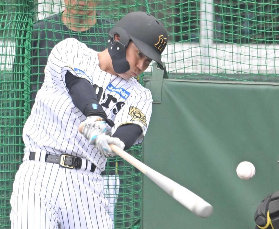 　打撃練習する糸原（撮影・飯室逸平）