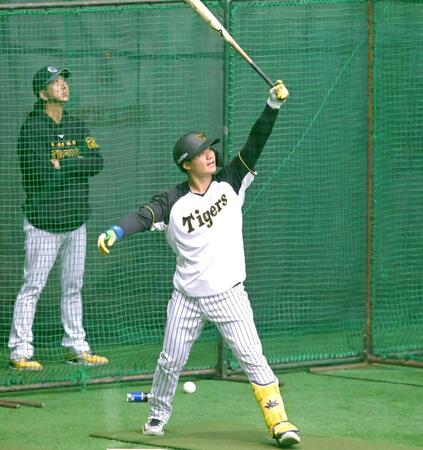 　フリー打撃に汗を流す森下（撮影・飯室逸平）