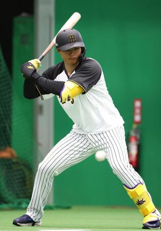 　ブルペンで打席に立ち、投手のボールを見る森下（撮影・中田匡峻）