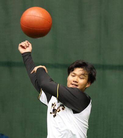 　メディシンボールでトレーニングをする森下（撮影・中田匡峻）