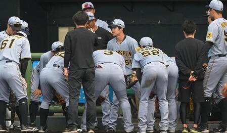 阪神スタメン　新外国人のヘルナンデスが４番でオープン戦デビュー　村上が開幕投手　楽天・宗山は「２番・遊撃」