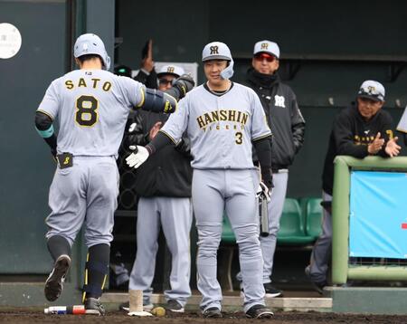 　５回、勝ち越しソロを放ち生還した佐藤輝を迎える大山。奥は藤川監督（撮影・中田匡峻）