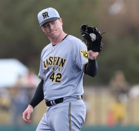 　３回に登板したネルソン（撮影・中田匡峻）