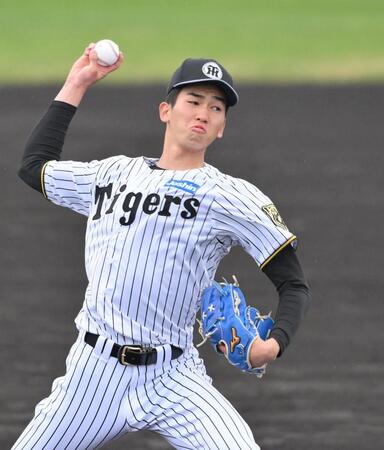 　シート打撃に登板する今朝丸（撮影・西田忠信）