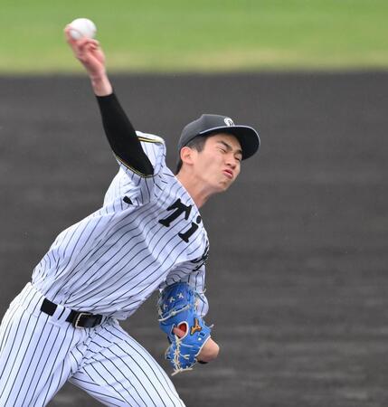 　シート打撃に登板する今朝丸（撮影・西田忠信）