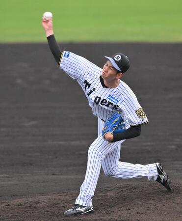 　シート打撃に登板する今朝丸（撮影・西田忠信）