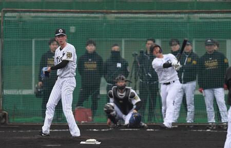 　シート打撃に登板した今朝丸（右）＝撮影・西田忠信