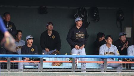 　６回、高寺の適時打にベンチで声を出す森下（中央）＝撮影・中田匡峻）