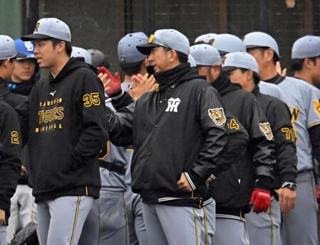 　中日に勝利し、ナインを迎える藤川監督（撮影・飯室逸平）