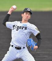 　シート打撃に登板する今朝丸（撮影・西田忠信）