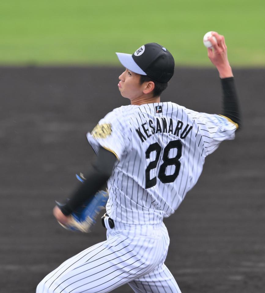 　シート打撃に登板する今朝丸（撮影・西田忠信）