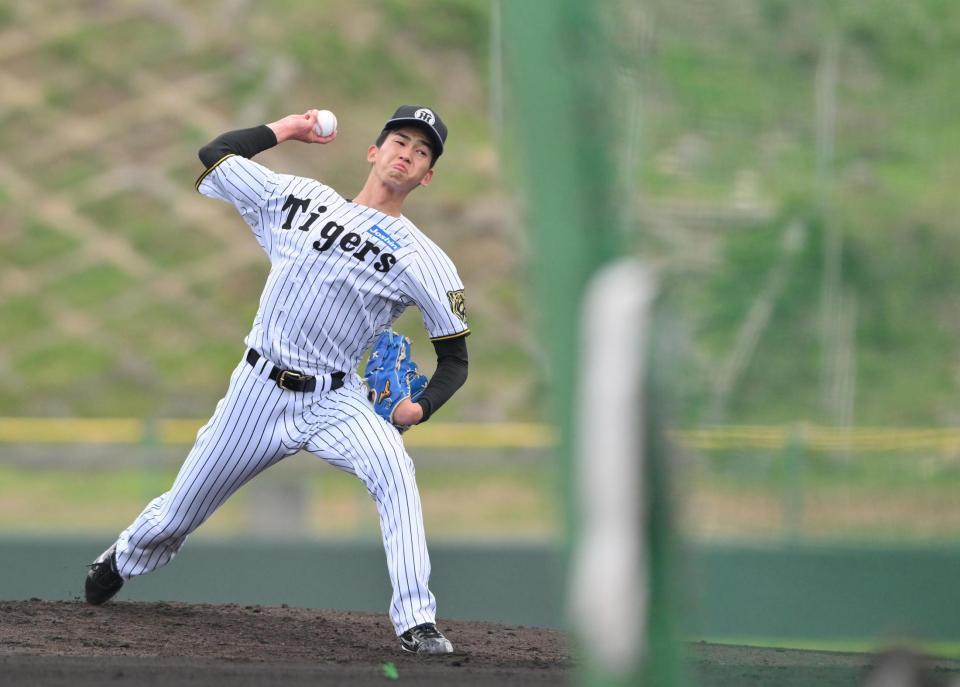 　シート打撃に登板する今朝丸（撮影・西田忠信）