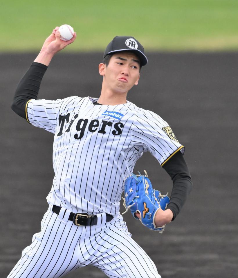 　シート打撃に登板する今朝丸（撮影・西田忠信）