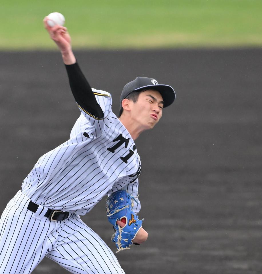 　シート打撃に登板する今朝丸（撮影・西田忠信）