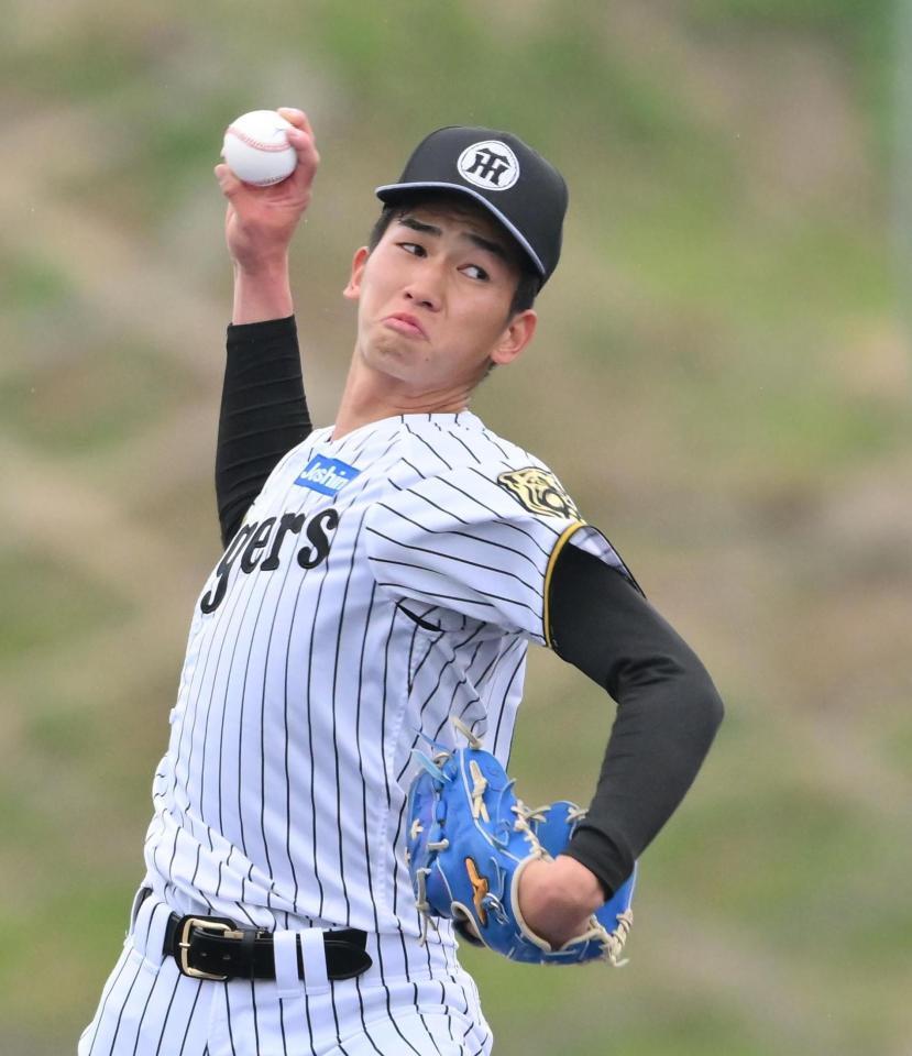 　シート打撃に登板する今朝丸（撮影・西田忠信）