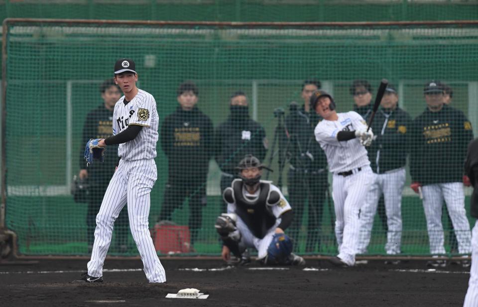 　シート打撃に登板した今朝丸（右）＝撮影・西田忠信