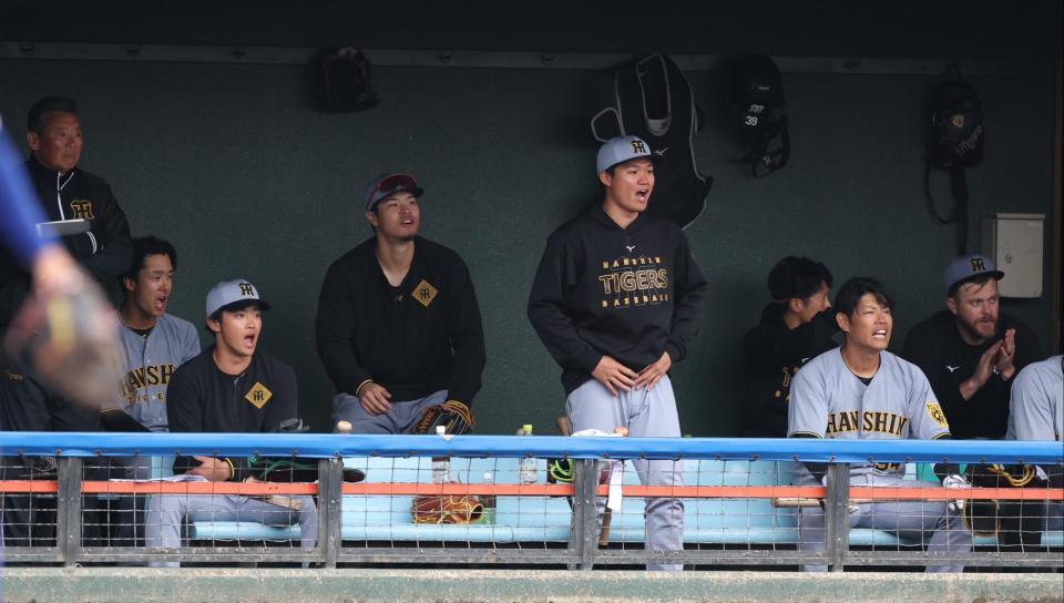 　６回、高寺の適時打にベンチで声を出す森下（中央）＝撮影・中田匡峻）