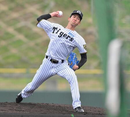 　ライブＢＰに登板する今朝丸（撮影・西田忠信）