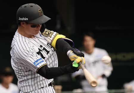 　６回、２ランを放つ森下（撮影・田中太一）