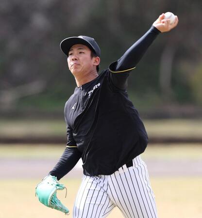 　キャッチボールをする伊原（撮影・中田匡峻）