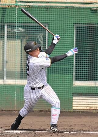 　２回、３ランを放つ井上（撮影・西田忠信）