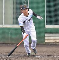 　２回、適時打を放つ山田（撮影・西田忠信）