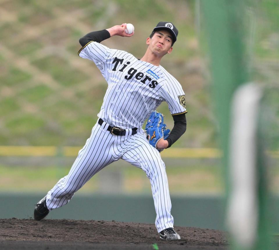 　ライブＢＰに登板する今朝丸（撮影・西田忠信）