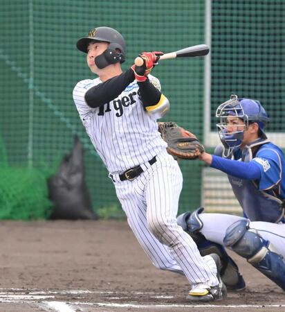 　６回、右前打を放つ佐野（撮影・西田忠信）