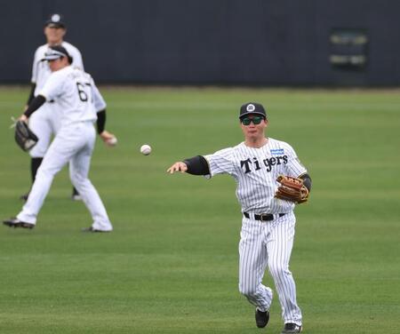 　シートノック前、ライトゴロの練習をする森下（撮影・田中太一）