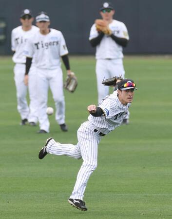 　シートノック前、ライトゴロの練習をする福島（撮影・田中太一）