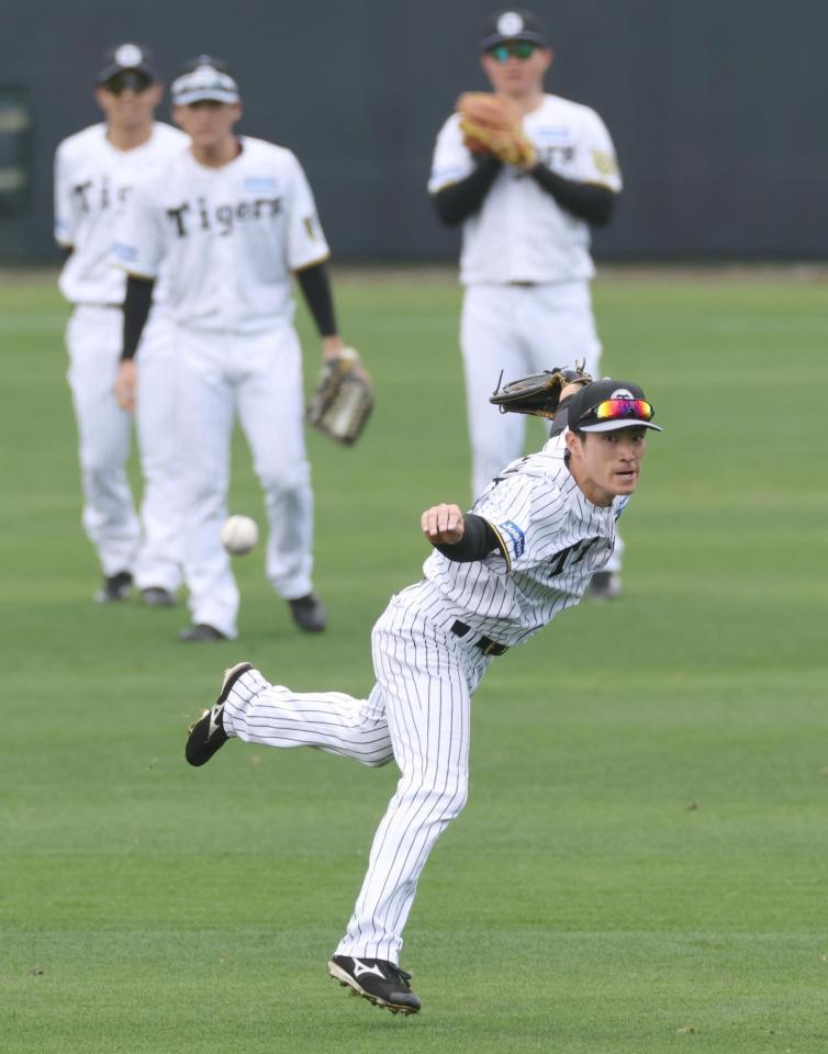　シートノック前、ライトゴロの練習をする福島（撮影・田中太一）
