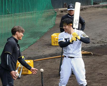 糸井臨時コーチ指導のもと、クリケットバットでティー打撃をする佐藤輝＝２月２日
