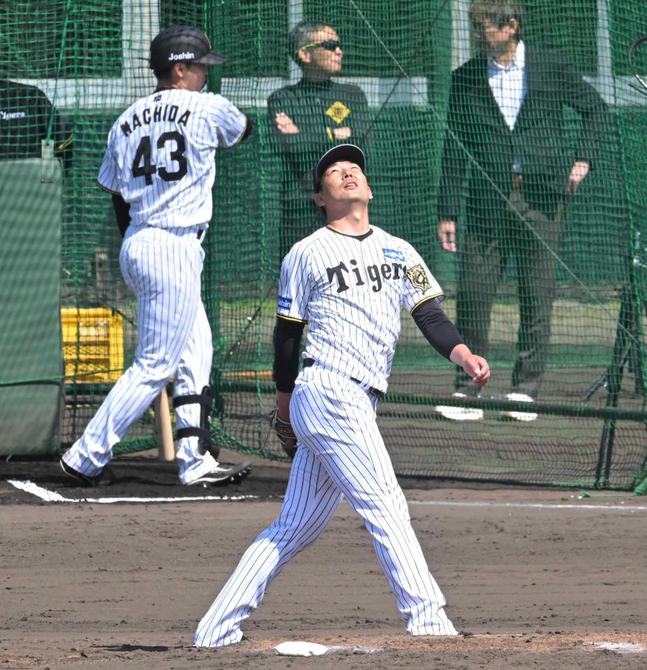 　ライブＢＰで貫禄のピッチングを見せた岩崎（撮影・飯室逸平）