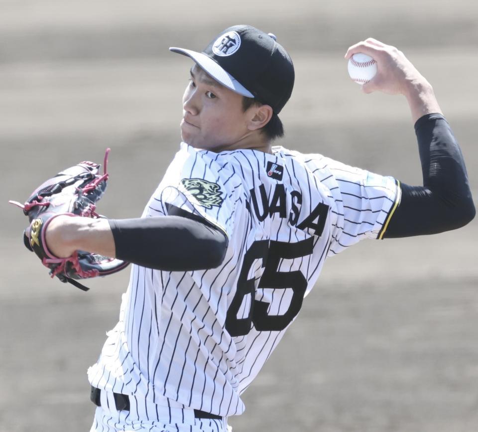 　打撃投手を務める湯浅（撮影・田中太一）