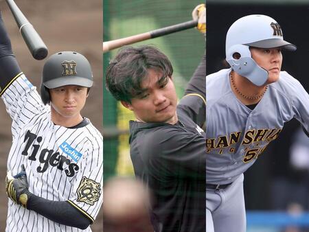 　（左から）近本、森下、前川