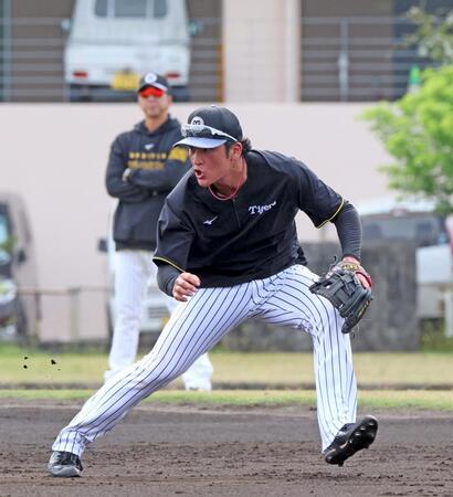 　藤川監督（奥）の見る中、守備練習に励む高寺（撮影・北村雅宏）