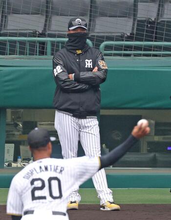 　デュプランティエ（手前）の投球を見つめる藤川監督（撮影・中田匡峻）