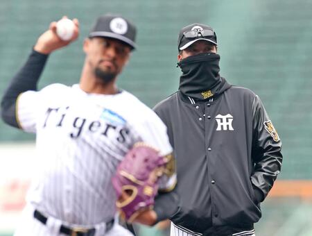 　投球するデュプランティエを見守る藤川監督（撮影・立川洋一郎）