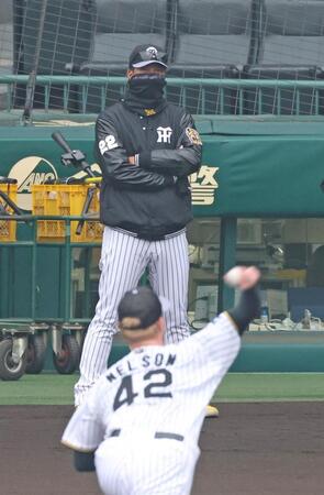 　ネルソン（手前）の投球を見つめる藤川監督（撮影・中田匡峻）