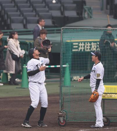 　大山（右）が上に投げたボールを捕るヘルナンデス（撮影・中田匡峻）