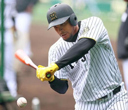 　ティー打撃をするヘルナンデス（撮影・立川洋一郎）