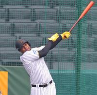 　打撃練習をするヘルナンデス（撮影・中田匡峻）