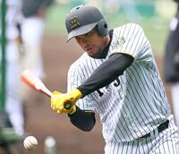 　ティー打撃をするヘルナンデス（撮影・立川洋一郎）