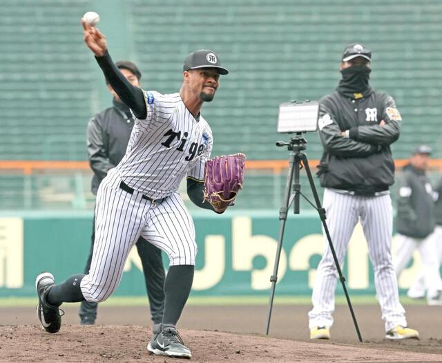 阪神タイガース　縁起物　電池と比べてね。プロフ必読願います。プロ野球新年 阪神タイガース 縁起物 電池と比べてね。プロフ必読願います。プロ野球