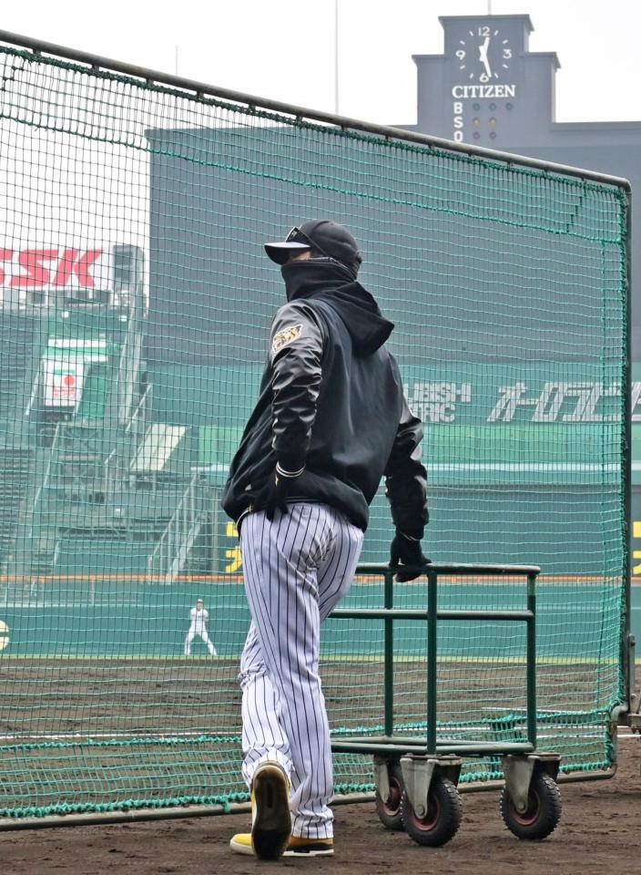 　練習を見守る藤川監督（撮影・立川洋一郎）