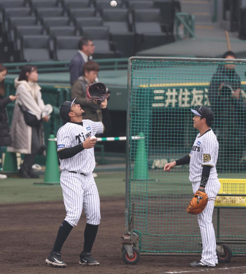 　大山（右）が上に投げたボールを捕るヘルナンデス（撮影・中田匡峻）