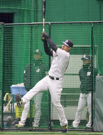 　フリー打撃で打ち込む佐藤輝（撮影・立川洋一郎）